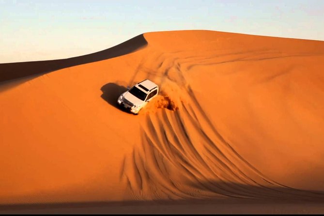 Abu Dhabi Desert Safari 4×4 Dune Bashing & Camel Riding & Sand Boarding With BBQ