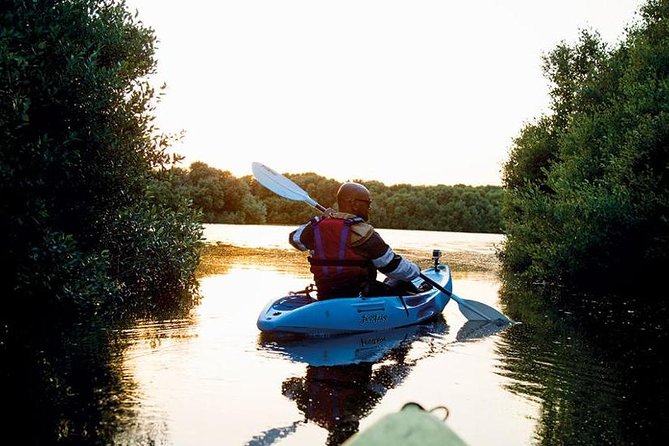 Abu Dhabi Mangrove Kayaking Tour