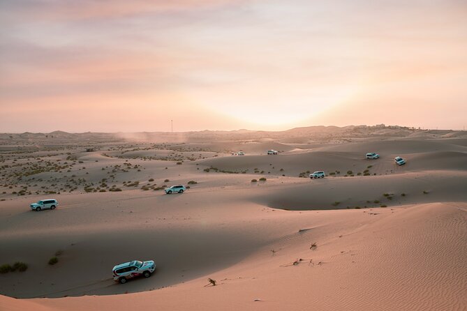 25 Best Safari Tours In Abu Dhabi