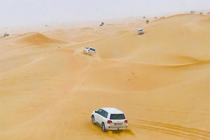 Abu Dhabi Morning Desert Safari