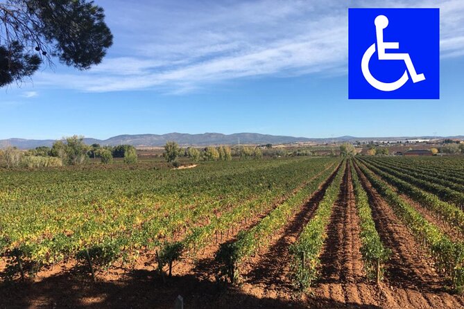 Accessible Valencia: Private, Accessible Wine Tour With Lunch - Good To Know