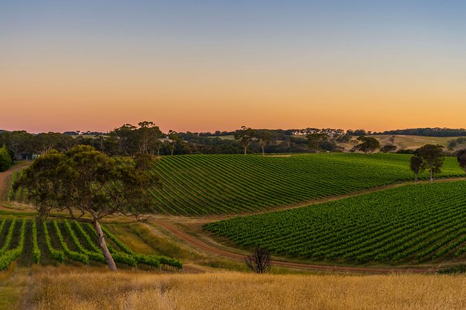 Adelaide Hills Divine Wine Tour