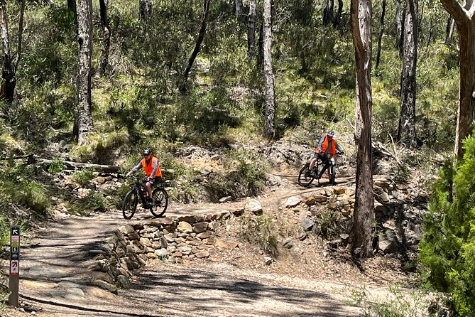 Adelaide Hills Full Day E-Bike Hire
