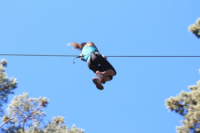 Adrenalin Forest Obstacle Course in the Bay of Plenty