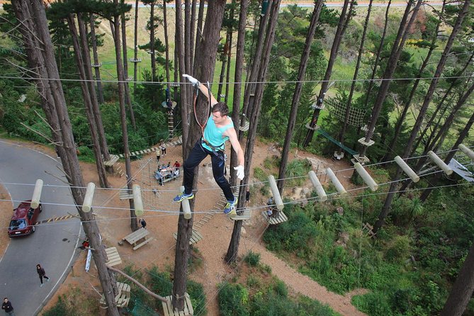 Adrenalin Forest Obstacle Course in Wellington