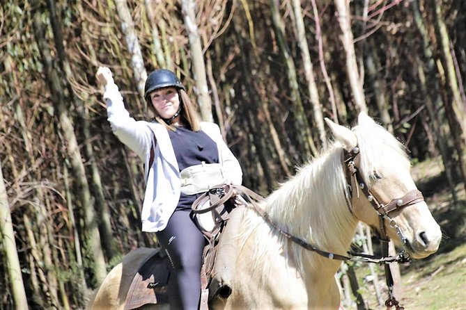 Adrenalin Mistyc Tour "full Service" - Good To Know