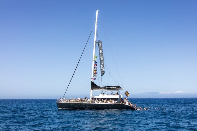 Adults Only Tenerife Freebird Whale Dolphin Catamaran With Lunch - Good To Know