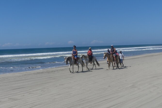 AfroMex Village Beach Horseback Ride -Crocs - Divers & City Tour - Good To Know