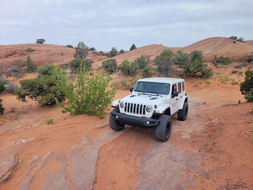 Afternoon Arches National Park 4×4 Tour