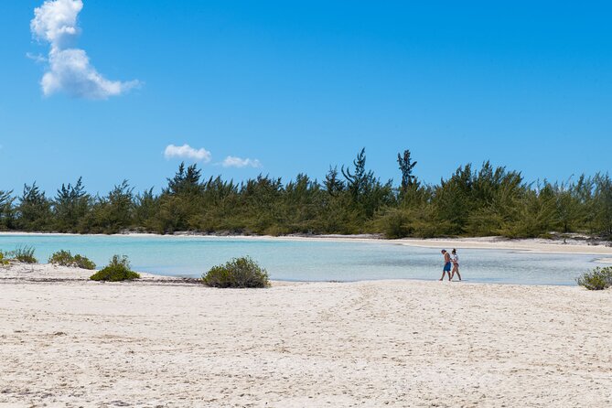 Afternoon Half Day Cruise From Providenciales With Snorkeling and Iguana Island - On-board Lunch and Refreshments