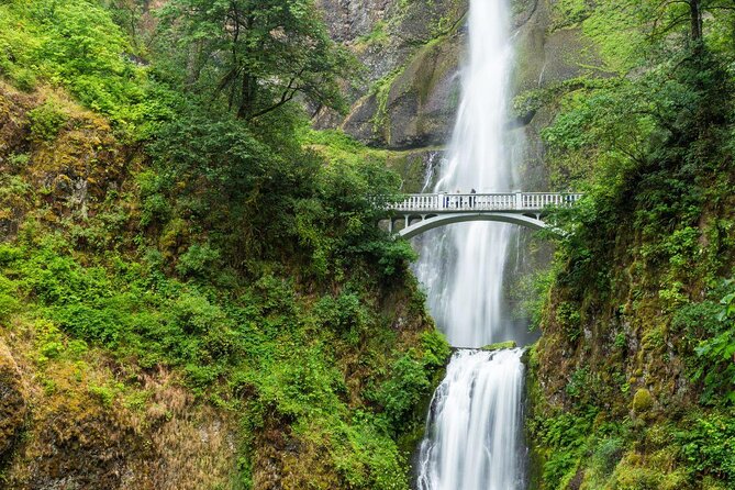 Afternoon Half-Day Multnomah Falls and Columbia River Gorge Waterfalls Tour From Portland - Good To Know