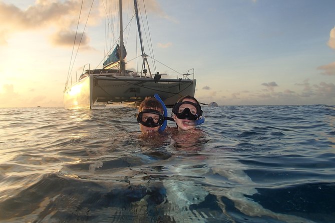 Afternoon Luxury Catamaran Sailing and Charter Cruise From Bridgetown - What To Expect
