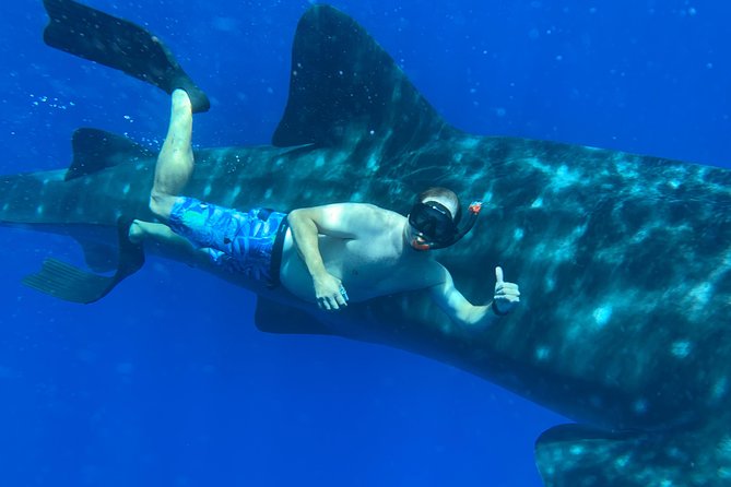 Afternoon Snorkel Adventure With Optional SCUBA and Intro SCUBA - Good To Know