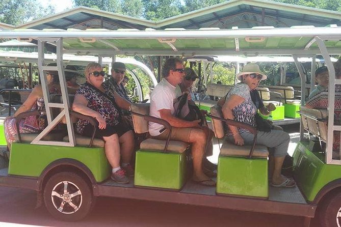Afternoon Tour to Visit My Son Holyland-Unessco Site From Hoi an or Da Nang City