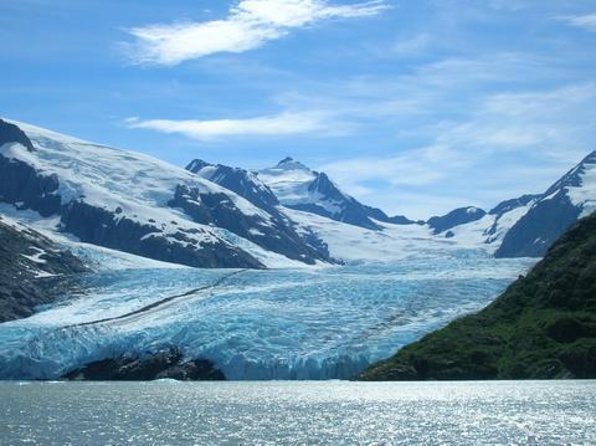Afternoon Wilderness, Wildlife, Glacier Experience From Anchorage - Good To Know