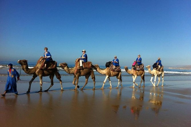 Agadir Camel Ride Flamingo River Sunset With Delicious Couscous & Barbecue - Good To Know