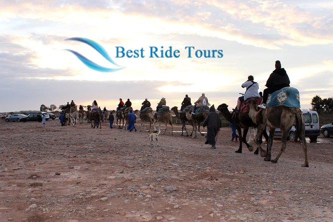 Agadir Camel Riding - Good To Know