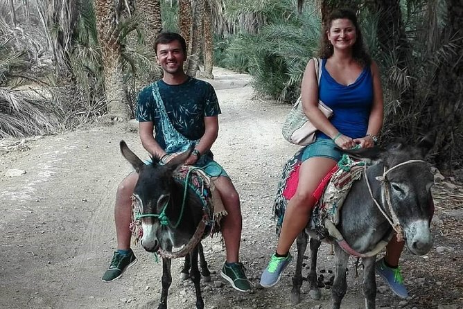 Agadir Excursion to Taroudant & Tiout Oissis With Lunch