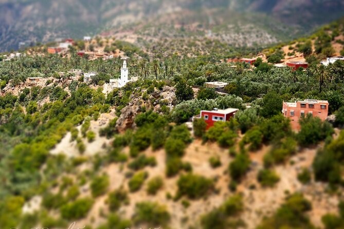 Agadir or Taghazout: Paradise Valley Atlas Mountain Swimming Trip - Paradise Valley Excursion