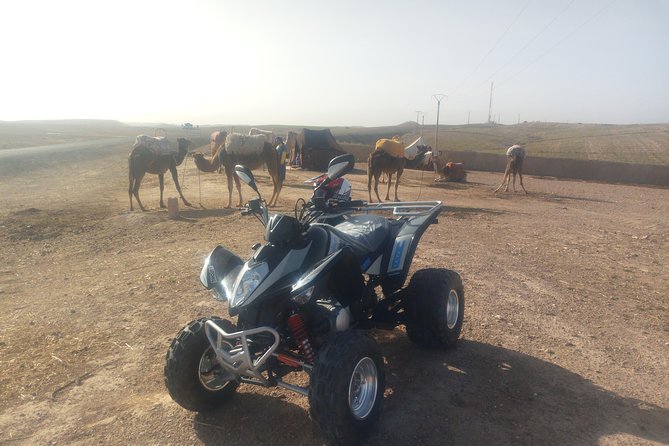 Agafay Desert Camel Ride and Quad Bike With Lunch or Dinner - Good To Know