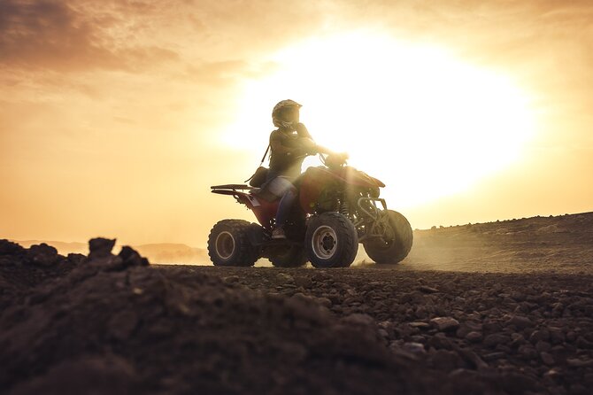 Agafay Desert - Quad Camel and Dinner Show - Customer Testimonials