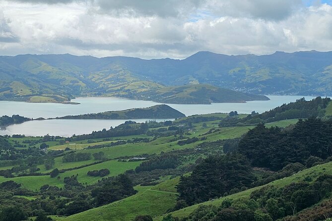 Akaroa Day Tour From Christchurch