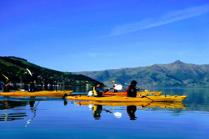 Akaroa Day Trip From Lyttelton Port - Return Shuttle Sea Kayak or Ebike Tour