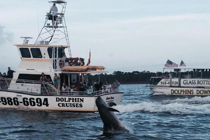 Alabama Gulf Coast Dolphin Cruise - Good To Know