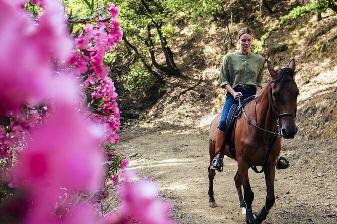 Alanya Horse Riding Experience With Free Hotel Transfer - Duration and Weight Restrictions