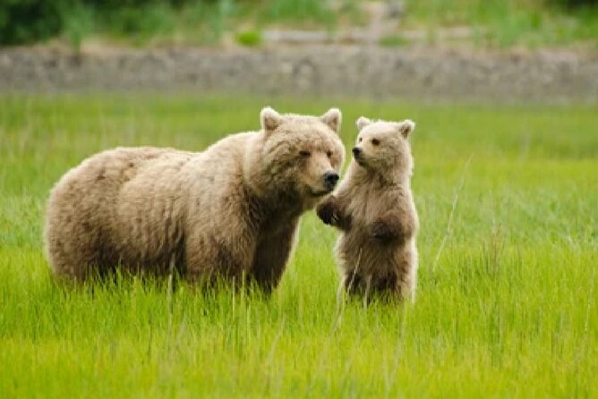 Alaska 9-Day National Park Adventure  – Anchorage