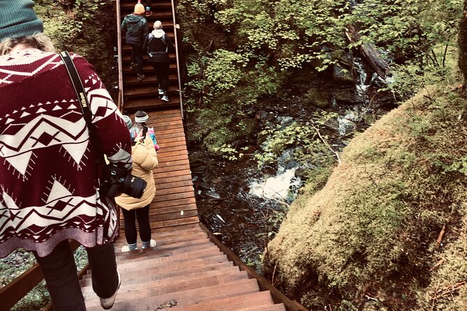 Alaska Bigfoot Adventure 2.5-Hour Tour - Ketchikan
