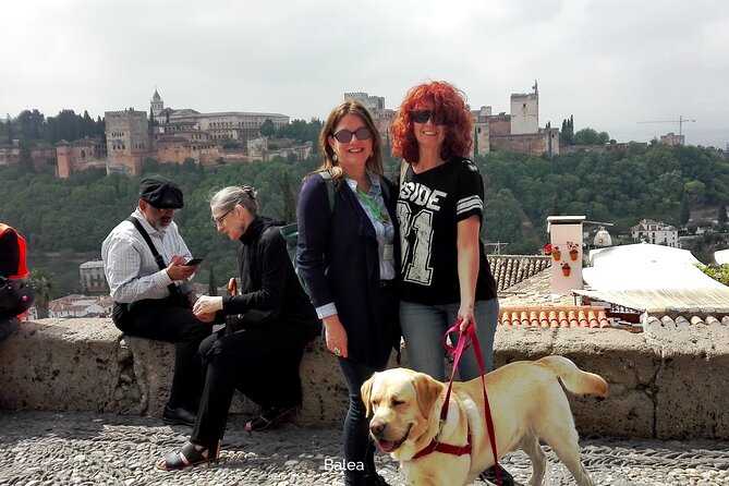 Albaicin Tour Guiado Con Perros - Tour Highlights