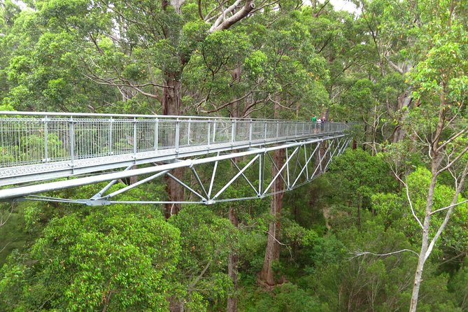 Albany Southwest Wilderness Day Tour – Fly From Perth