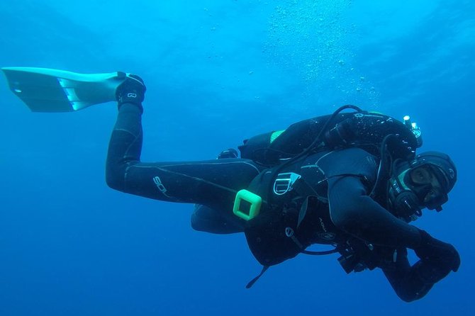 Albufeira Two-Dive Trip for Certified Divers