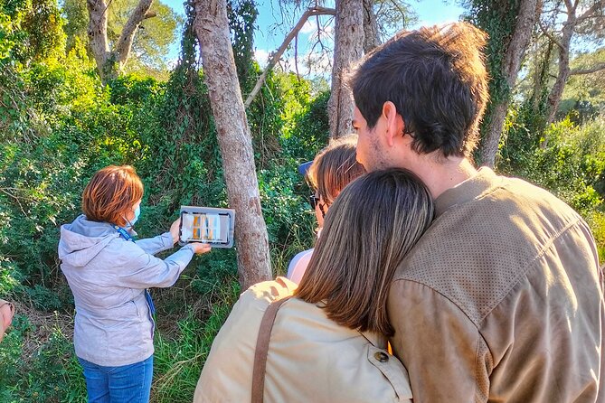 Albufera Natural Park Tour With Boat Ride From Valencia
