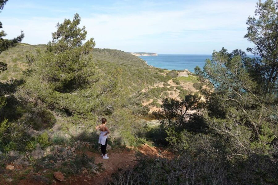 Algarve: Guided WALK in the Natural Park South Coast