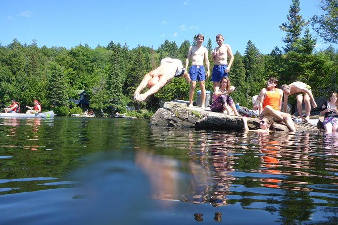 Algonquin Provincial Park Day Tour From Toronto