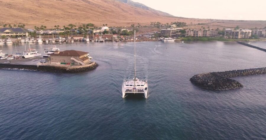 Alii Nui Afternoon Turtle Snorkel