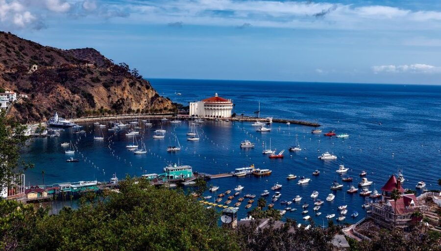 All-Inclusive Guided Tour of Catalina Island From Orange Co - Good To Know