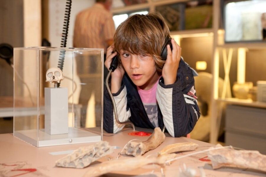 Alphen Aan Den Rijn: Open-Air Museum Archeon Tickets