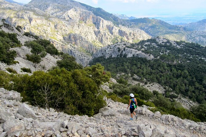 Alpine Hiking Tour in Winter Mallorca - Good To Know