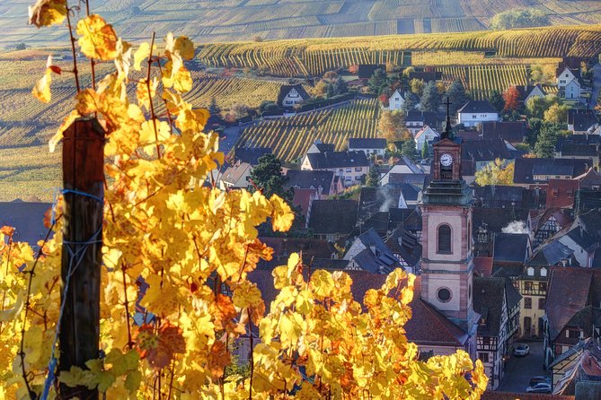 Alsace Half Day Wine Tour From Colmar