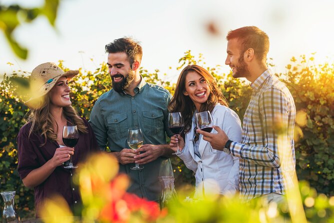 Alsace Wine Odyssey: Full-Day Private Tour From Strasbourg