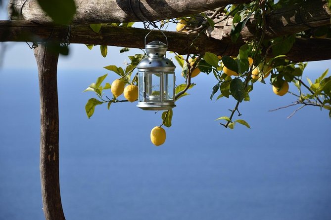 Amalfi Coast Private Driving Tour From Naples - Good To Know