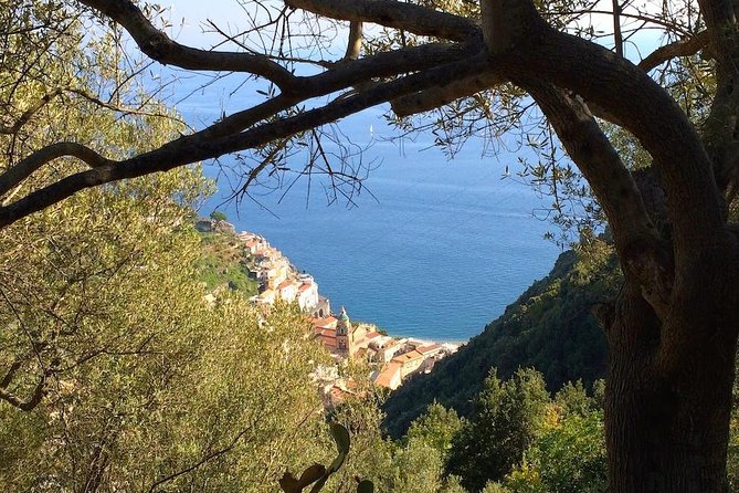 Amalfi to Pogerola Half-Day Private Hiking Tour