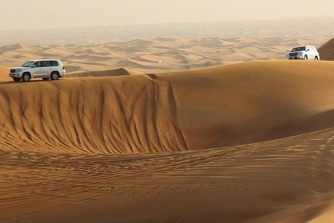 Amazing Abu Dhabi Evening Safari