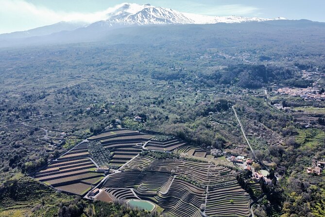 Amazing Private Etna Panoramic Tourwine Taste & Food Combination - Good To Know