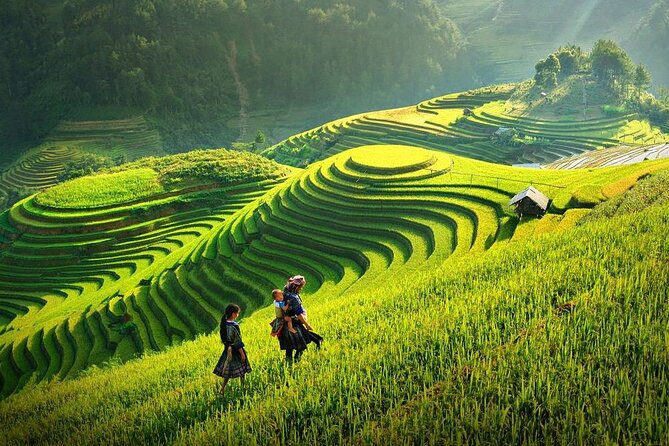 Amazing Sapa: Fansipan Legend Cable Car & Sapa Trekking – All Inclusive 1 Day