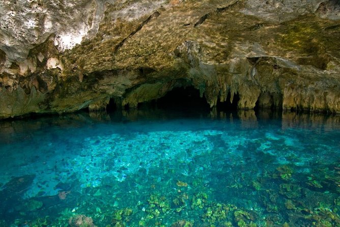 Amazing Secret River Near Tulum With Snorkel Equipment, Buffet and Drinks