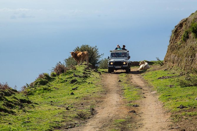 Amazing West - Jeep Safari Tour - Full Day